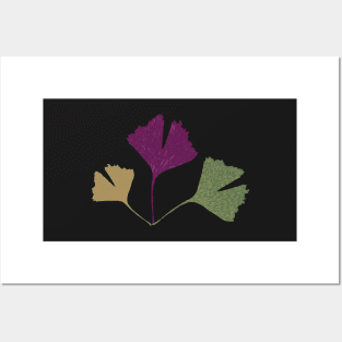 Ginkgo biloba leaves Posters and Art